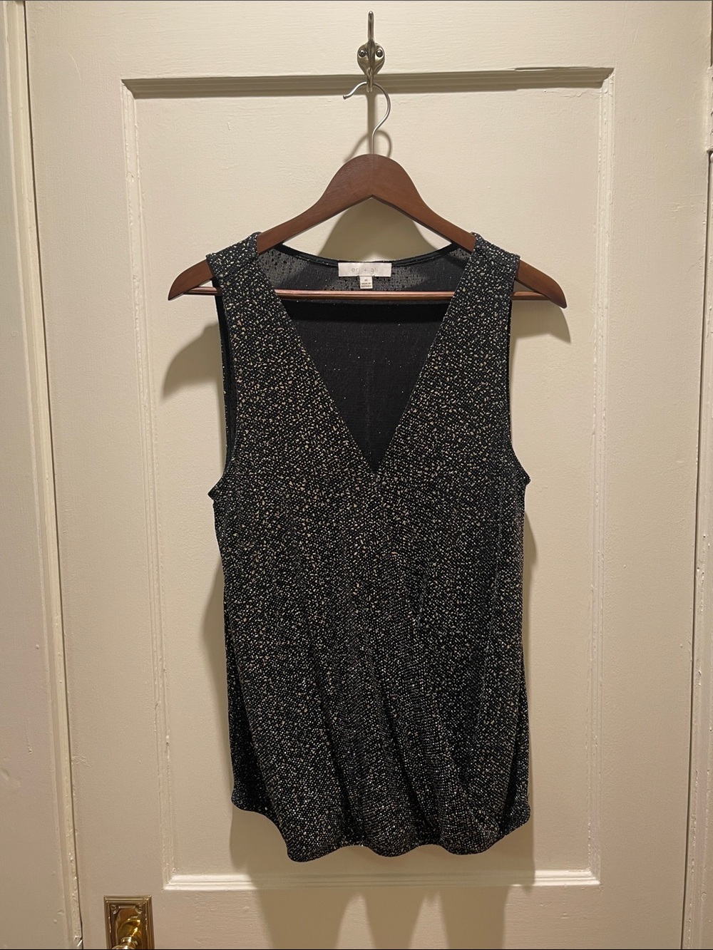 Metallic Black V-Neck Sleeveless Camisole